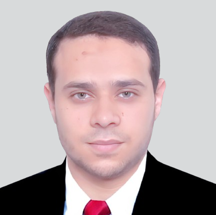 Diaaeldin Mohamed Elimam